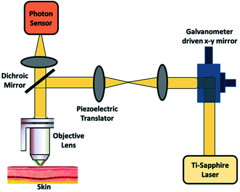 Fig. 18