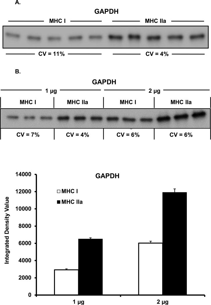 Figure 3A & B