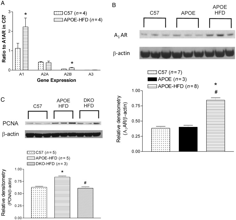 Figure 3