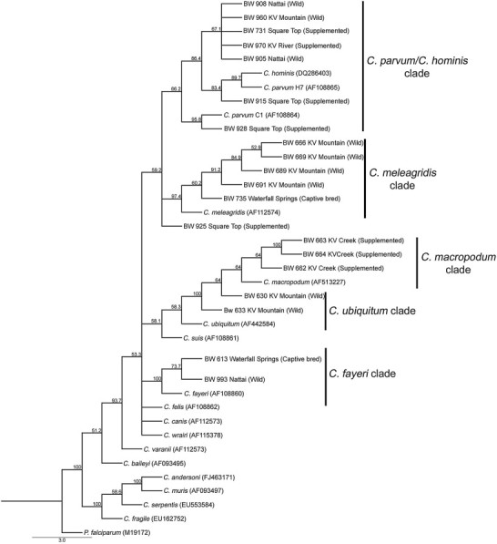 Fig. 1