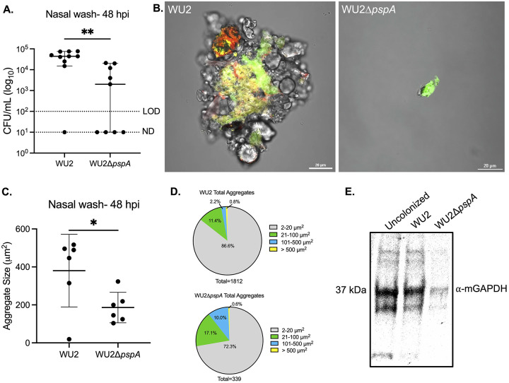 FIG 2