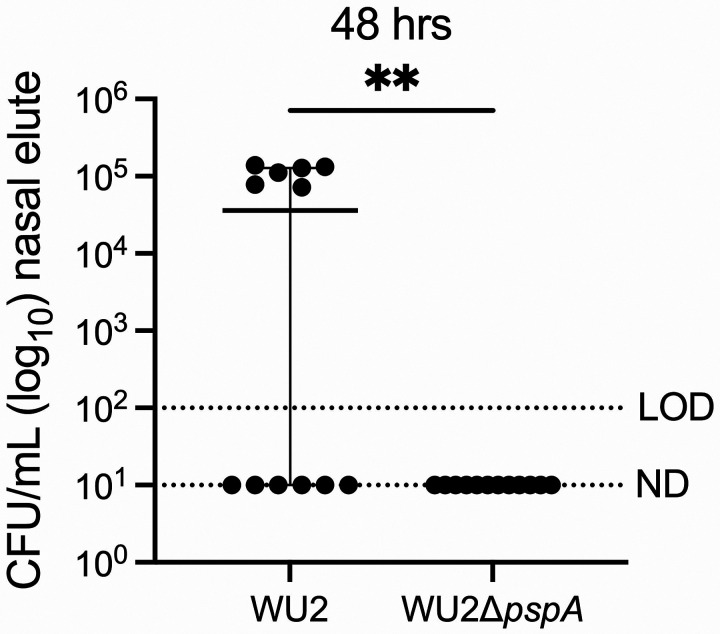 FIG 4