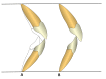 Fig. (3)