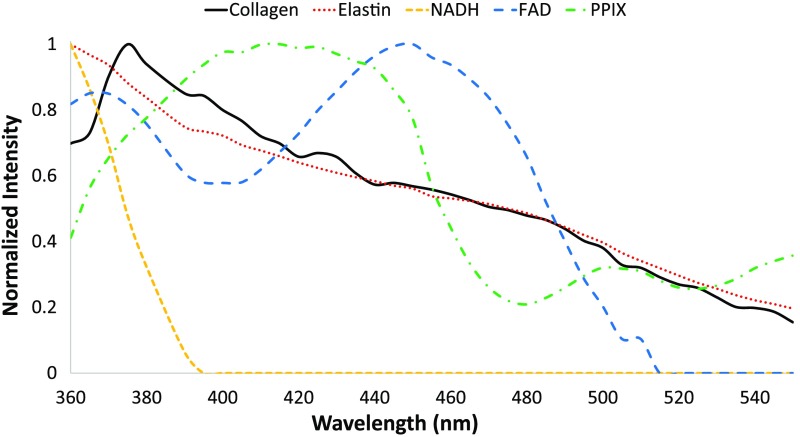 Fig. 2