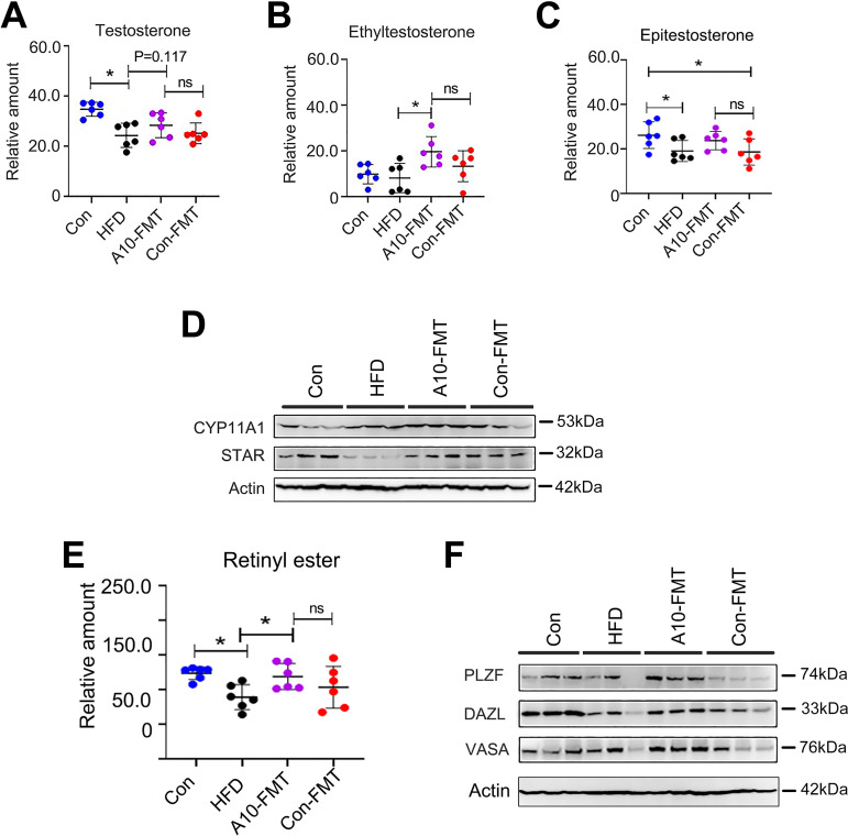 FIG 6