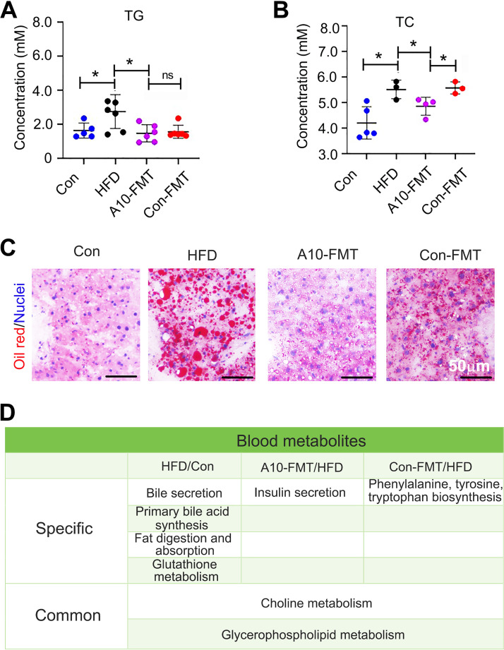 FIG 3