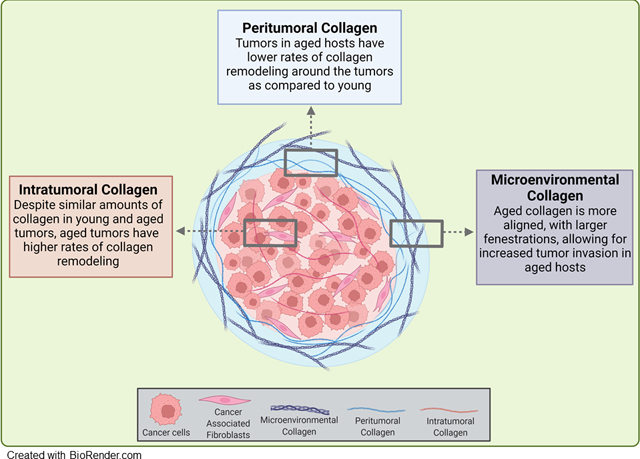 graphic file with name nihms-1793530-f0001.jpg