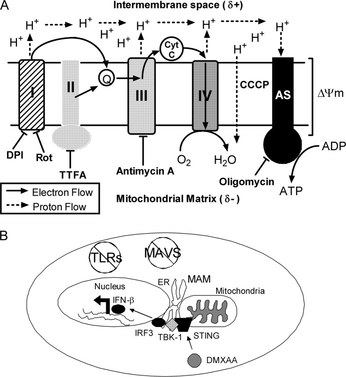 FIGURE 10.