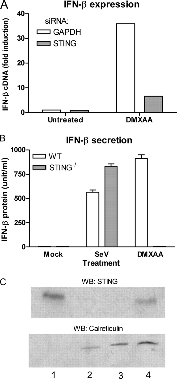 FIGURE 6.