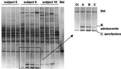 FIG. 5.