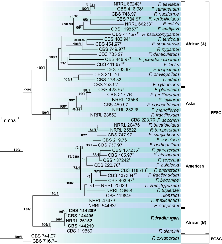 Figure 3.