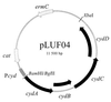 FIG. 2
