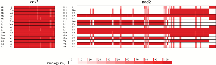 Fig. 8.