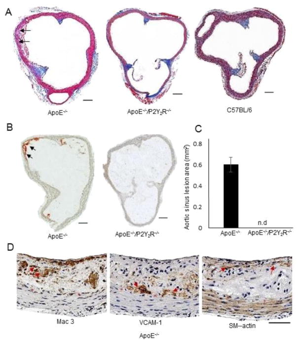 Fig. 5