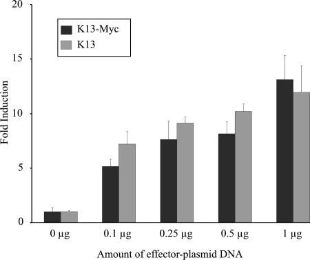 FIG. 7.