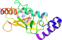 Fig. 9