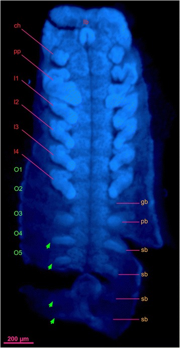 Fig. 4