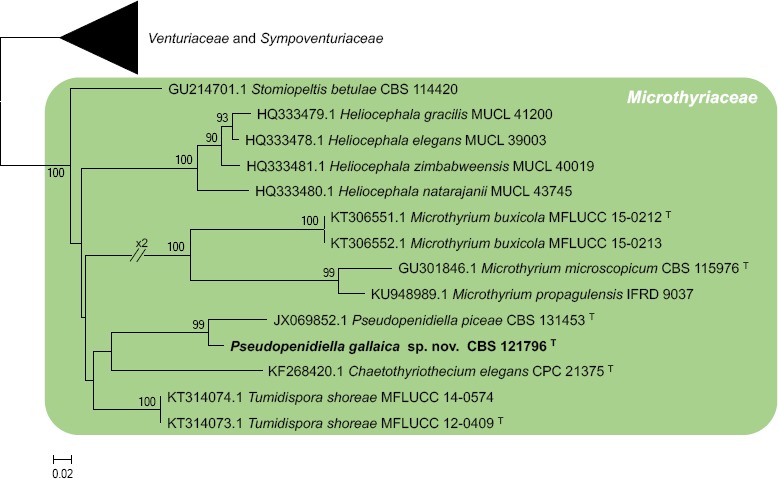 graphic file with name per-41-238-i025.jpg