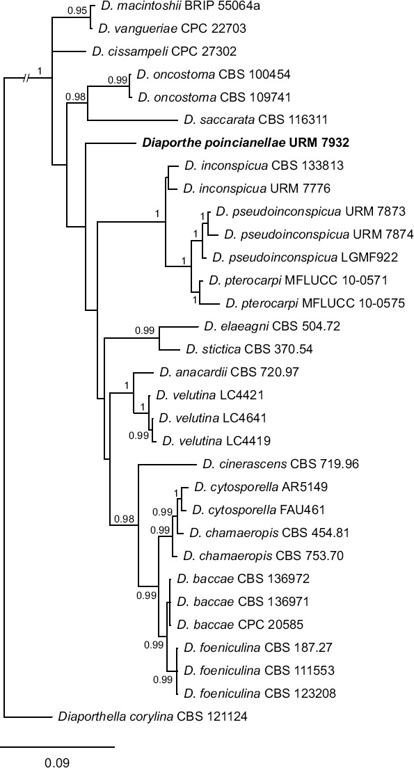 graphic file with name per-41-238-i010.jpg