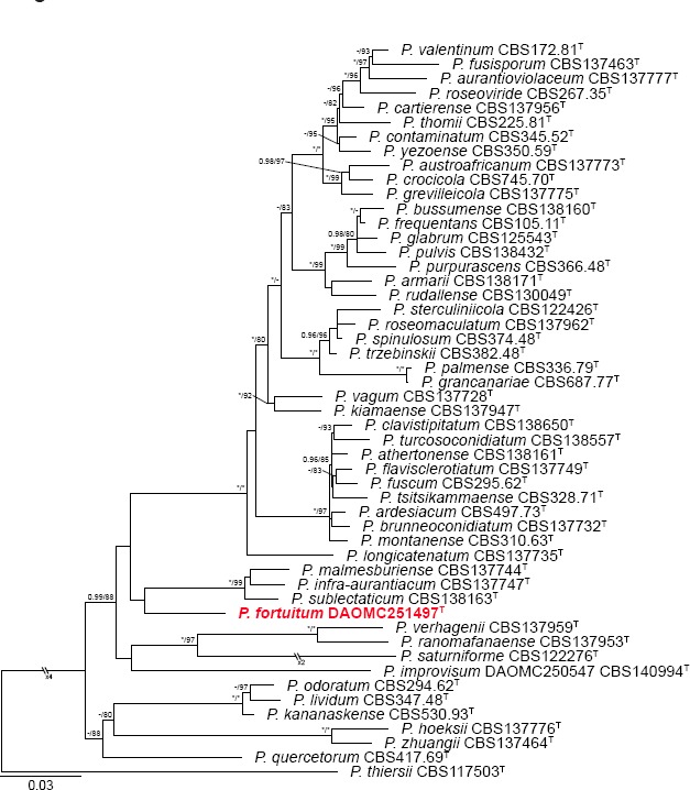 graphic file with name per-41-238-i021.jpg