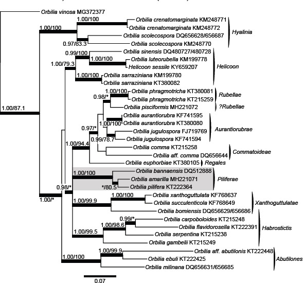 graphic file with name per-41-238-i020.jpg