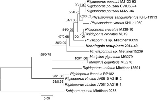 graphic file with name per-41-238-i015.jpg