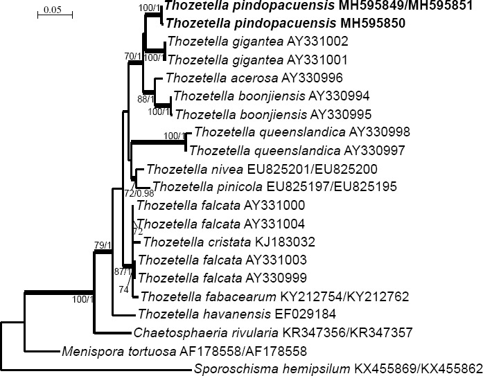 graphic file with name per-41-238-i030.jpg