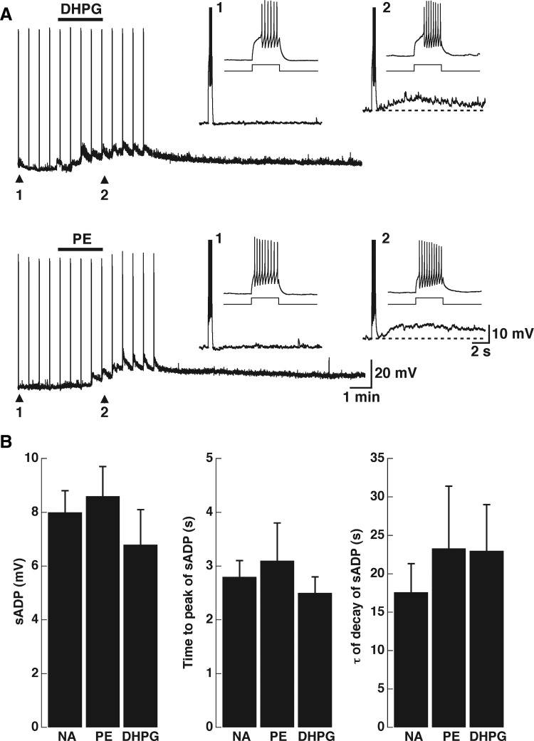 FIG. 5.