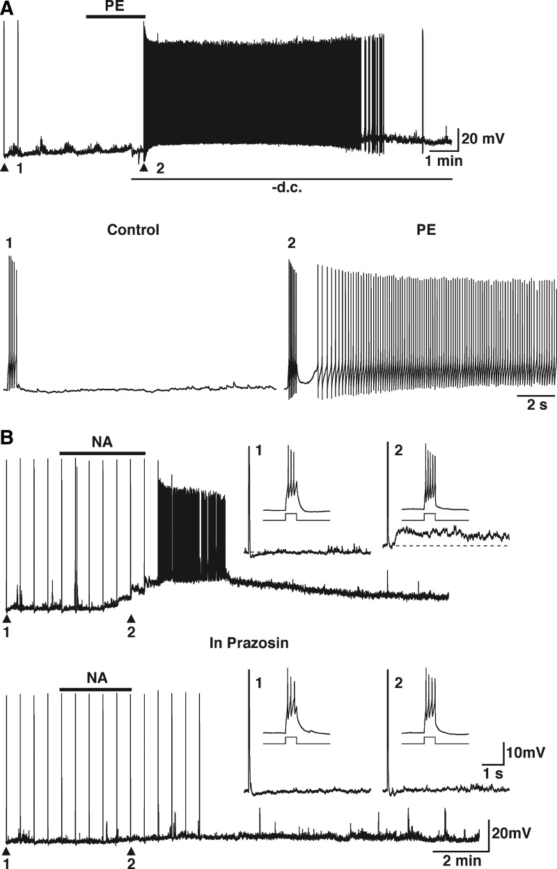 FIG. 2.