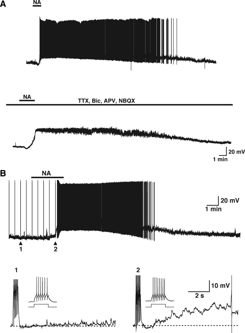 FIG. 1.