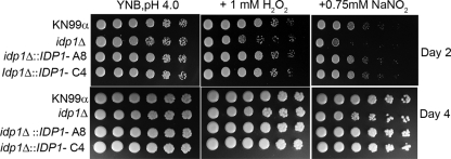 Fig. 3.