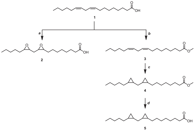 Scheme 1.