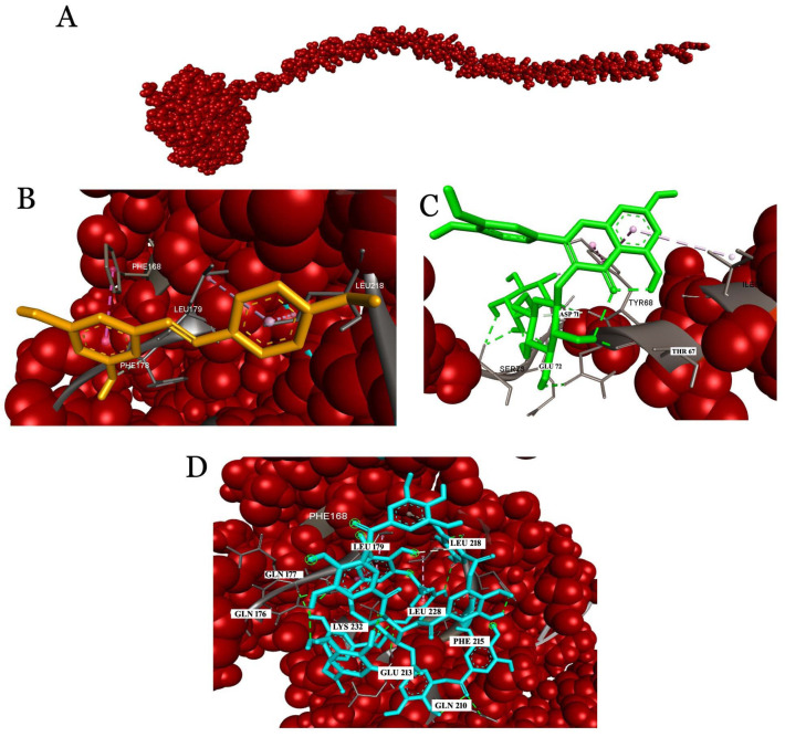 Figure 4