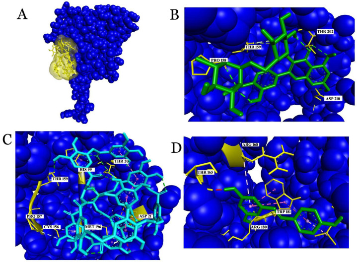 Figure 5