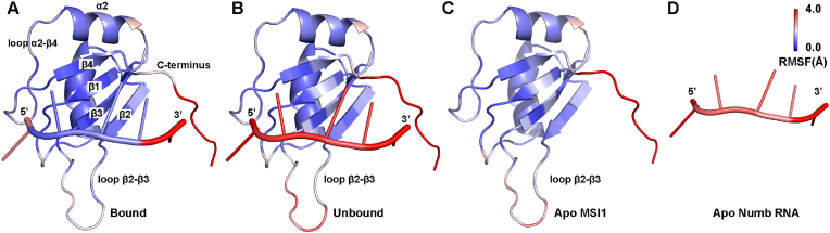 Fig. 2