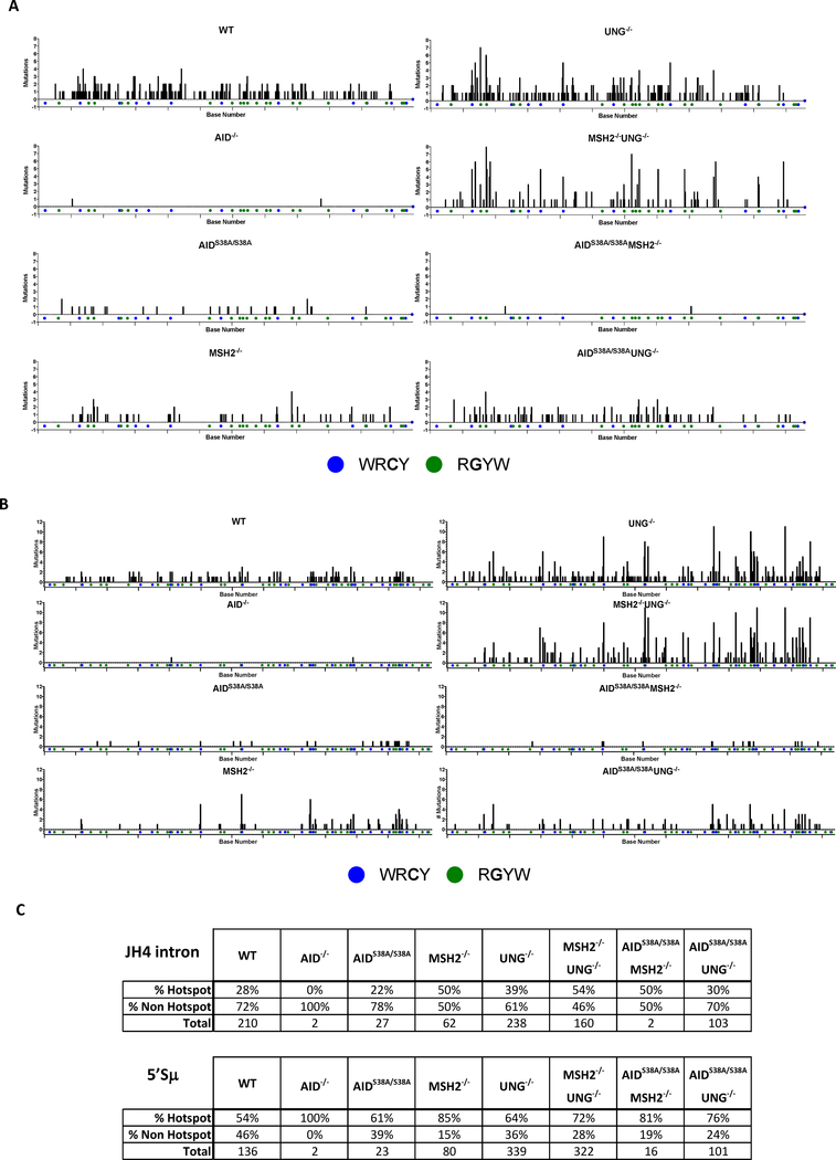 Figure 5.