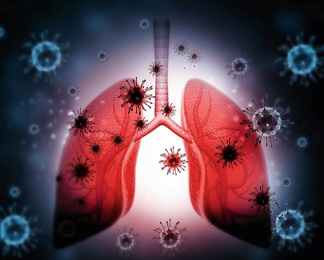 graphic file with name 11298_2022_2450_Fig2_HTML.jpg