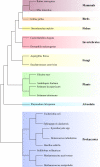 Fig. 4.