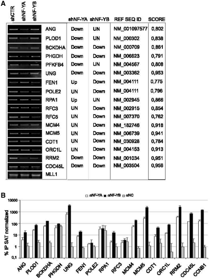 Figure 6.