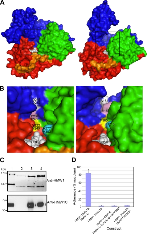 FIGURE 4.