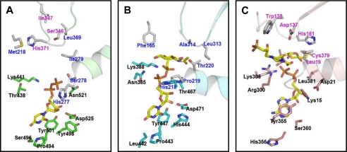 FIGURE 6.