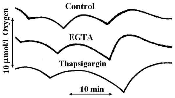 Figure. 3