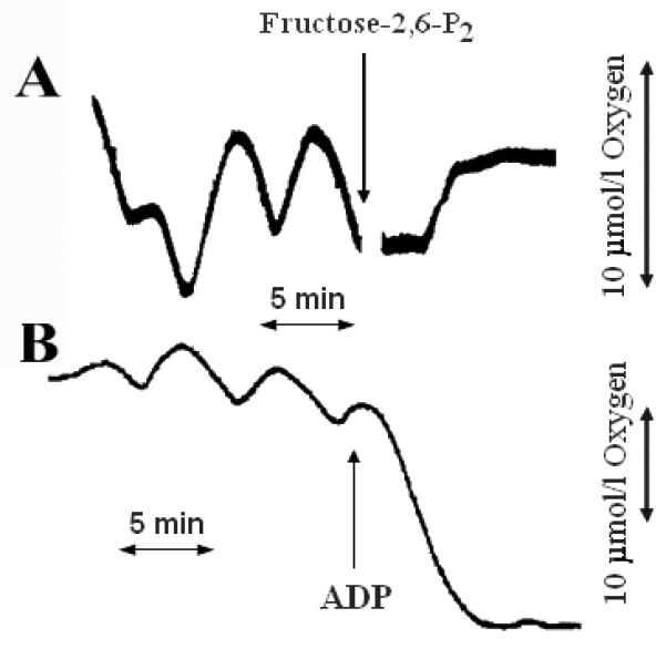 Figure. 6