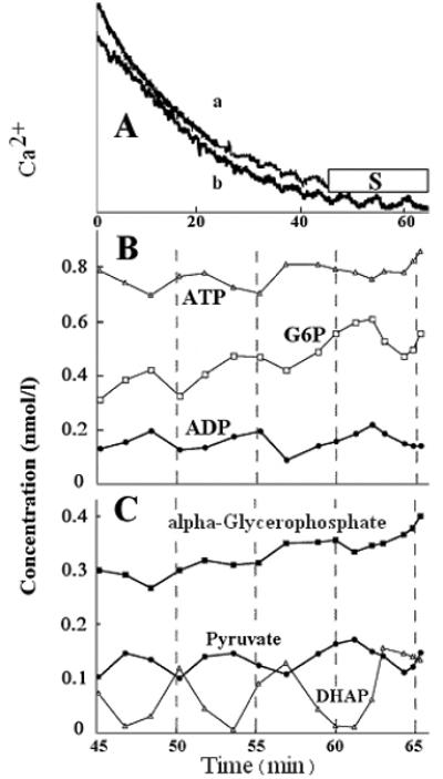 Figure. 4