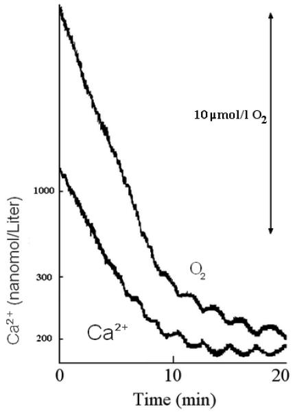 Figure. 2