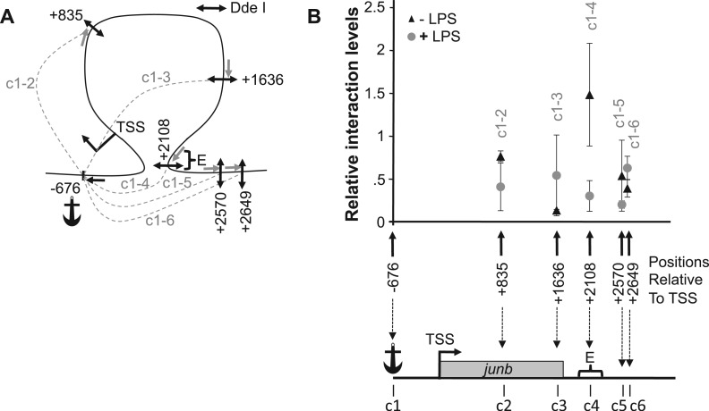 Figure 7.