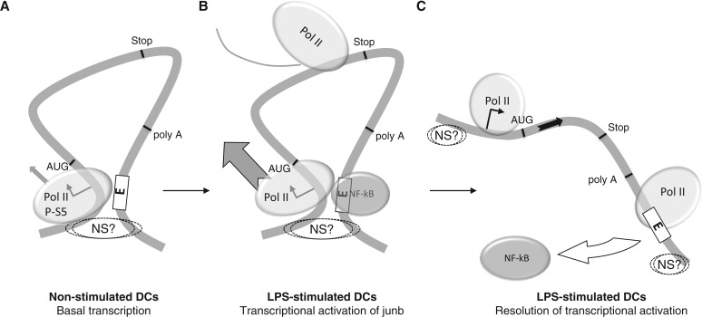 Figure 9.