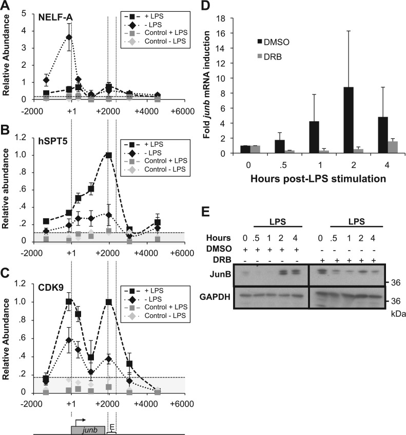 Figure 5.