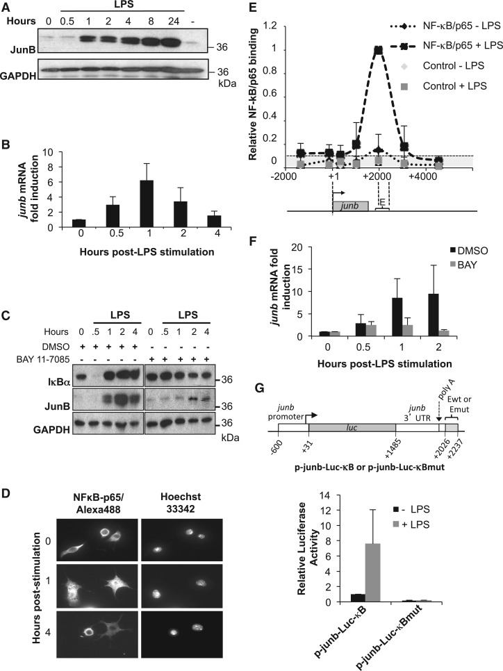 Figure 2.