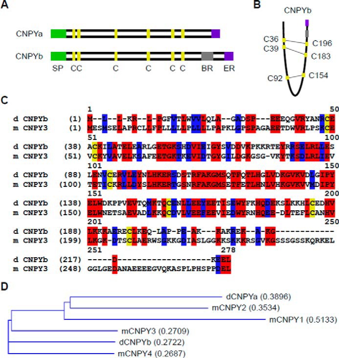 Figure 2.